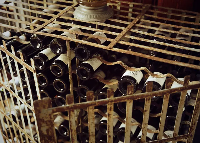 מלון Romantik Schloss Reichenow