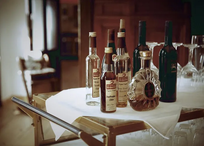 Hotel Romantik Schloss Reichenow